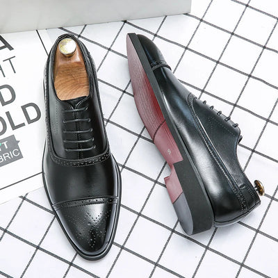 SERGIO | Brogue Karol Firenze